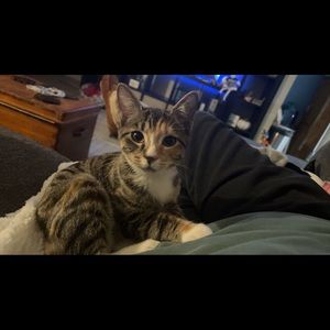 Meet your Posher, Jamie